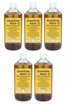 EM Aktiv 5 Liter von Quantum in Einzelflaschen
