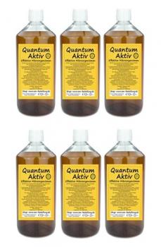 EM Aktiv von Quantum 6 Liter Einzelflaschen