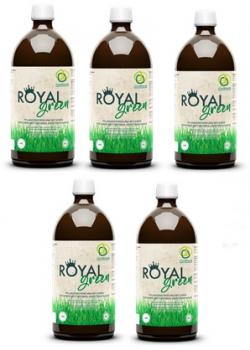 Multikraft Royal Green | 500ml | EM für den Garten