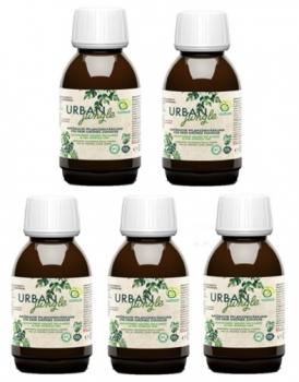 Urban Jungle | EM von Multikraft | 500ml