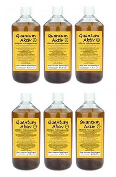 EM Aktiv von Quantum 6 Liter Einzelflaschen